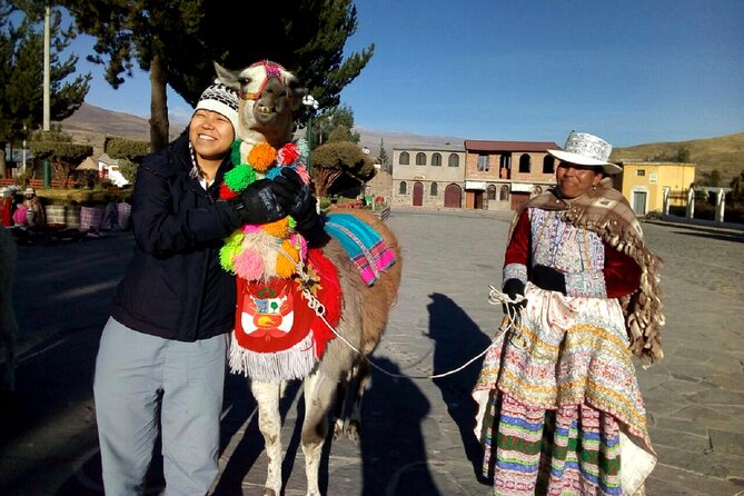 Colca Canyon Plus - 4,910 meters at Abra Patapampa