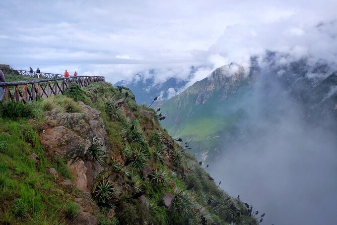 Colca Canyon Plus - Cruz del Cóndor and the morning flight of the condors