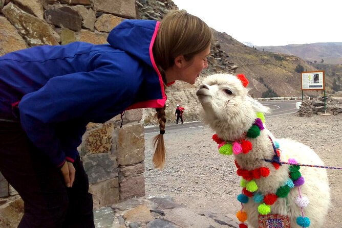 Colca Canyon Plus - Puruña’s stone forest and an Andean craft stop