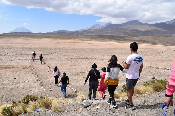 Colca Full Day - What the $40 price really covers