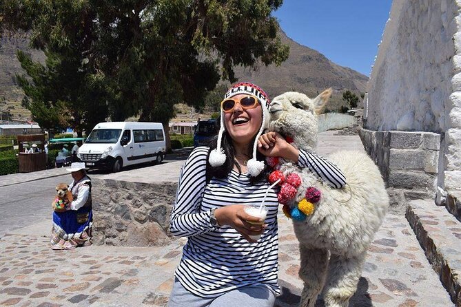 Colca Full Day - Breakfast helps, but lunch needs planning