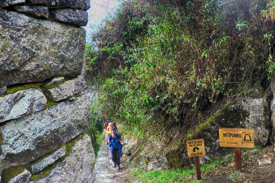 Cusco: 4-Day Inca Trail to Machu Picchu with Accommodation - Day 2: Coffee, Qhapaq Ñan paths, and Cocalmayo