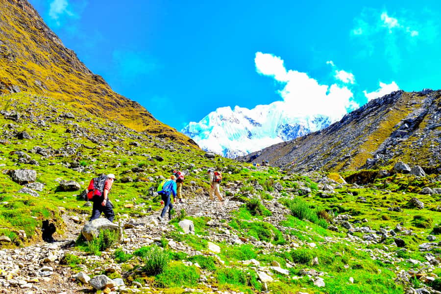 Cusco: 5-Day Salkantay Ultimate Trek to Machu Picchu - What the $669 price really covers