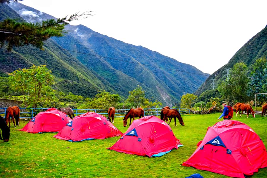 Cusco: 5-Day Salkantay Ultimate Trek to Machu Picchu - Day 4: Llactapata and the first view of Machu Picchu