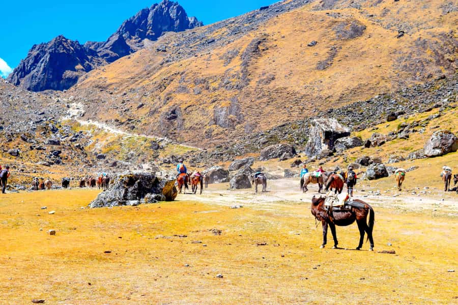 Cusco: 5-Day Salkantay Ultimate Trek to Machu Picchu - Day 5: Machu Picchu with a guided visit