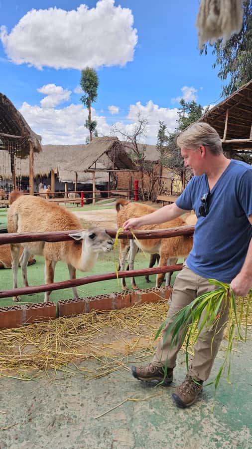 Cusco: Alpaca and Llama Farm Tour w/ Transfer & Weaving Demo - Why the Inca connection adds value