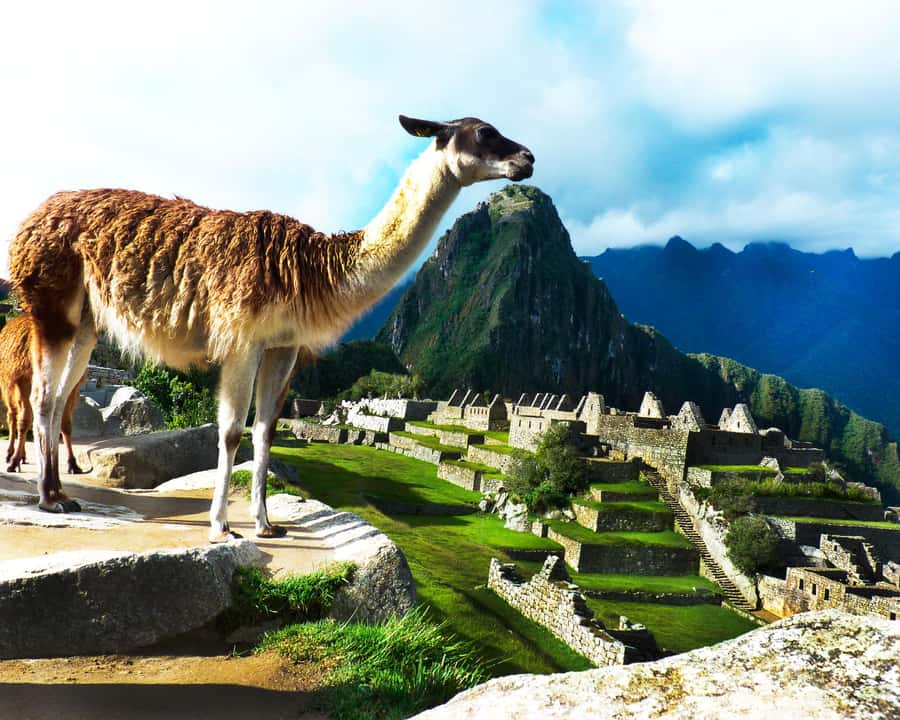 CUSCO: Full Day All Included Private Machu Picchu Experience - Entering Machu Picchu with a private guide