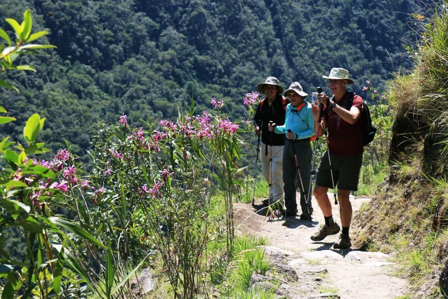 Cusco: Machu Picchu 2-Day Inca Trail with Panoramic Train - The Vistadome train is more than a ride home