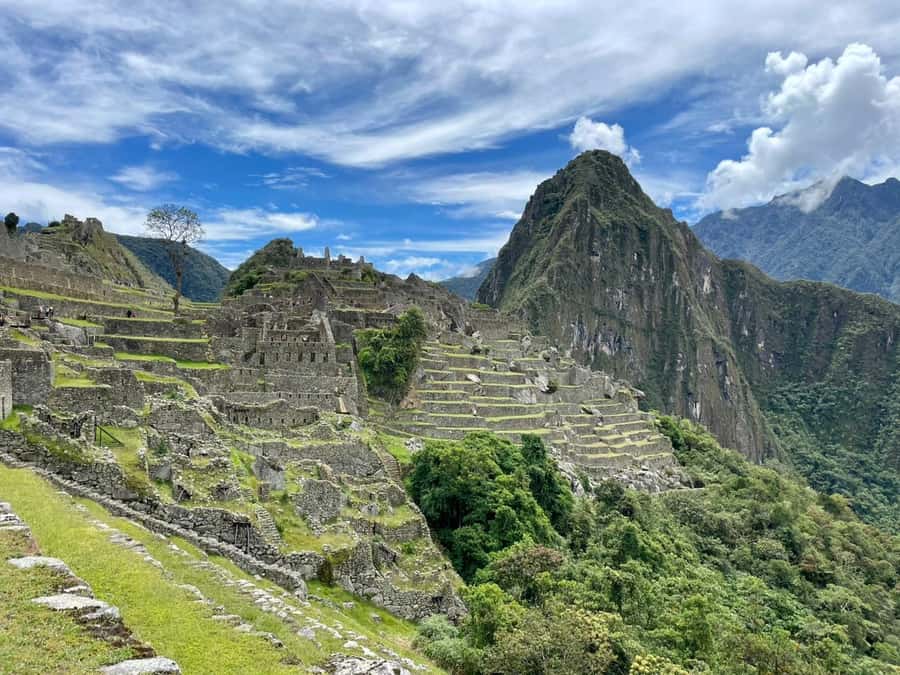 Cusco: Machu Picchu Day Trip with Train + Entrance ticket - Should you book it?