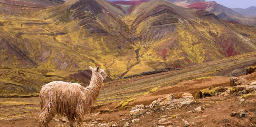 Cusco : Palcoyo - Rainbow Mountain Hidden Sister - The 5:00 AM start from Cusco