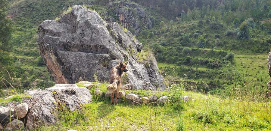 Cusco: Sacsayhuaman Guided Tour and 1-Hour Horseback Ride - What the $90 price really covers