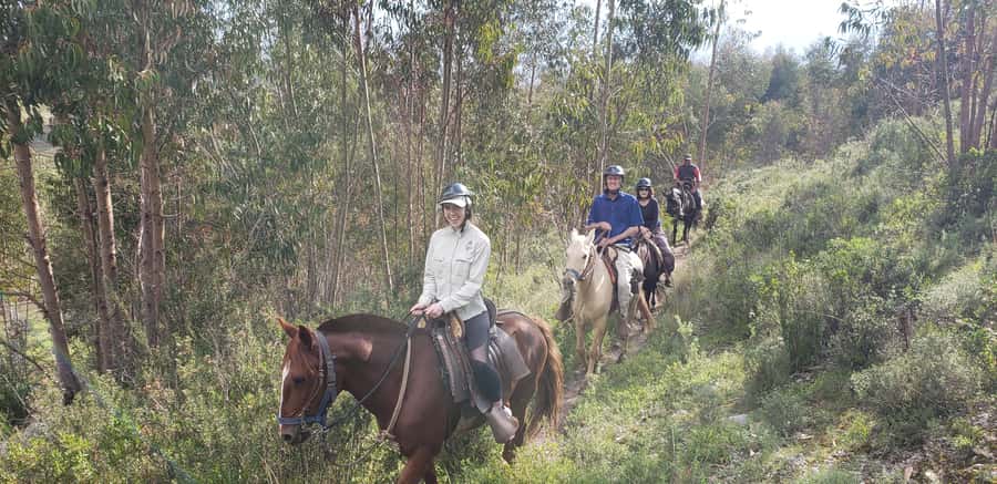 Cusco: Sacsayhuaman Guided Tour and 1-Hour Horseback Ride - Sacsayhuaman and the skill of Inca stonework