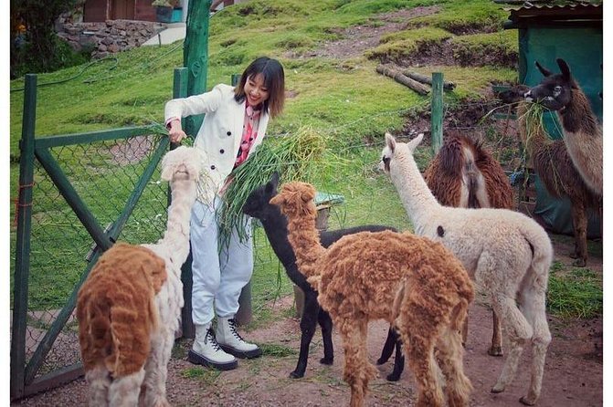 Cusco Santuario de Animales Rescatados en Cusco - The sanctuary’s conservation mission
