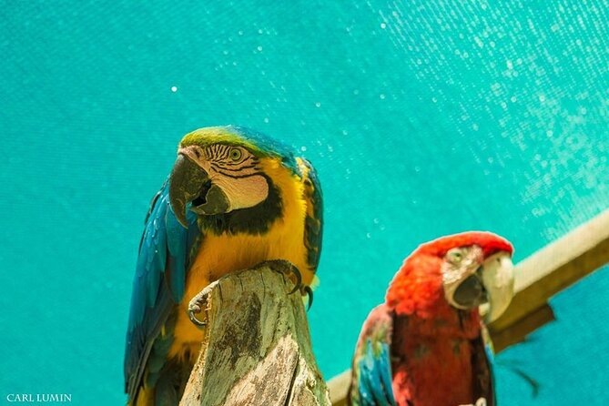 Cusco Santuario de Animales Rescatados en Cusco - Is $34 a fair price?