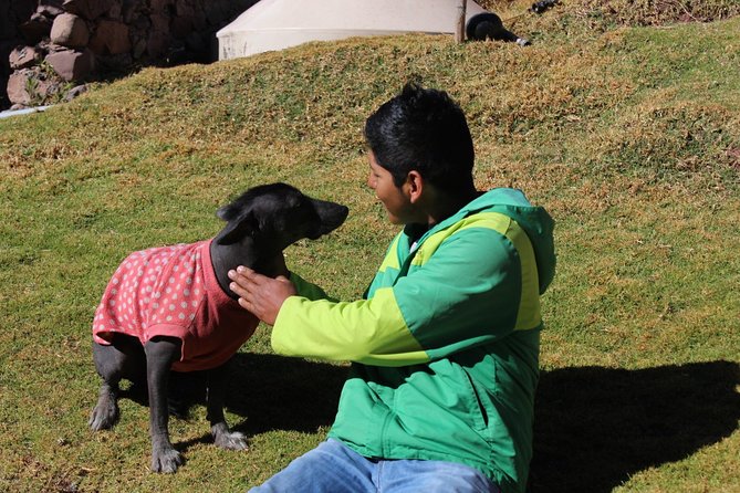 Cusco Santuario de Animales Rescatados en Cusco - Who should book this Cusco activity?