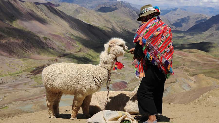 Cuzco: Rainbow Mountain Excursion - Cusipata breakfast and lunch with local products