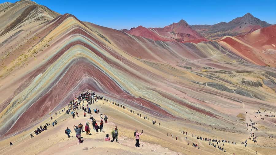 Cuzco: Rainbow Mountain Excursion - Alpacas, llamas, and vicuñas along the route