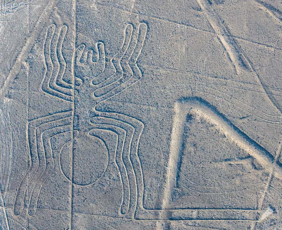 Discover Paracas, Ica and Nasca in a 2 days and 1 night trip - What the $290 price really covers