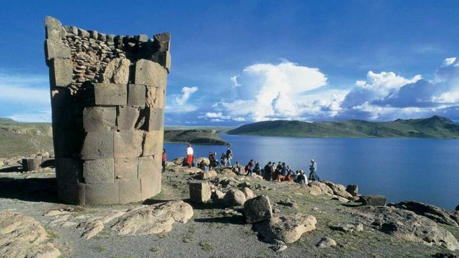 Discover the Celestial Wonder of Sillustani: Towers of Time - Wildlife around the Umayo peninsula