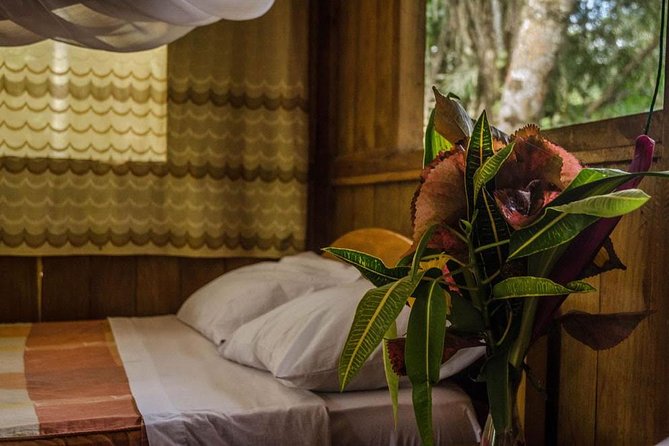 Eco Jungle 3 Days - 2 Nights - From Puerto Maldonado to the Tambopata forest
