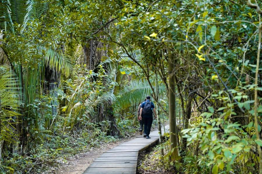 Excursion 2 days/1 nights in the jungle: Tambopata - Arriving in Puerto Maldonado and settling into the bungalow