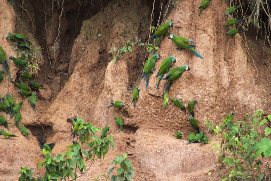 Excursion 3 days/2 nights in the jungle - Food, service, and the private-group advantage