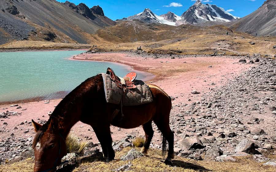 Excursion: Explore in one day the 7 lakes of Ausangate from Cusco - Why Ausangate’s seven lakes are worth the effort