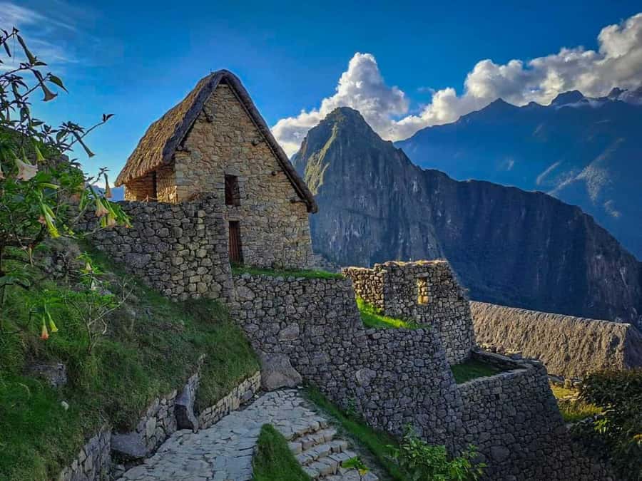 Excursion from Cusco to Machu Picchu + Entrance Tickets Incl - What the $478 price really buys you