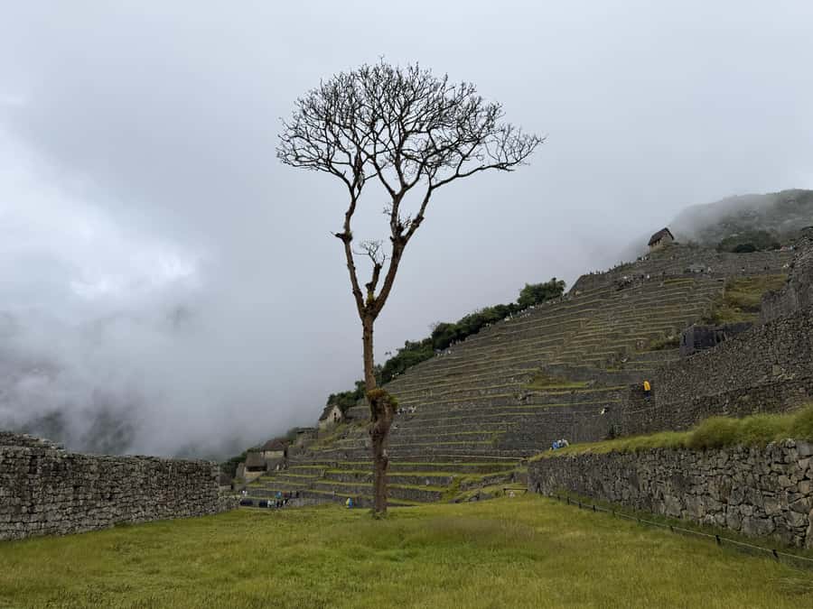 Excursion from Cusco to Machu Picchu + Entrance Tickets Incl - Aguas Calientes and the 30-minute bus ride