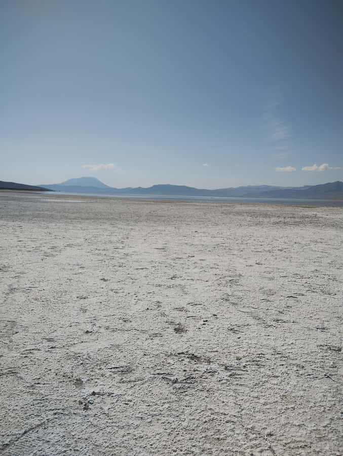 Excursion: Lagoon and National Reserve of Salinas and Aguada Blanca in Arequipa. - Chiguata and its old terraces