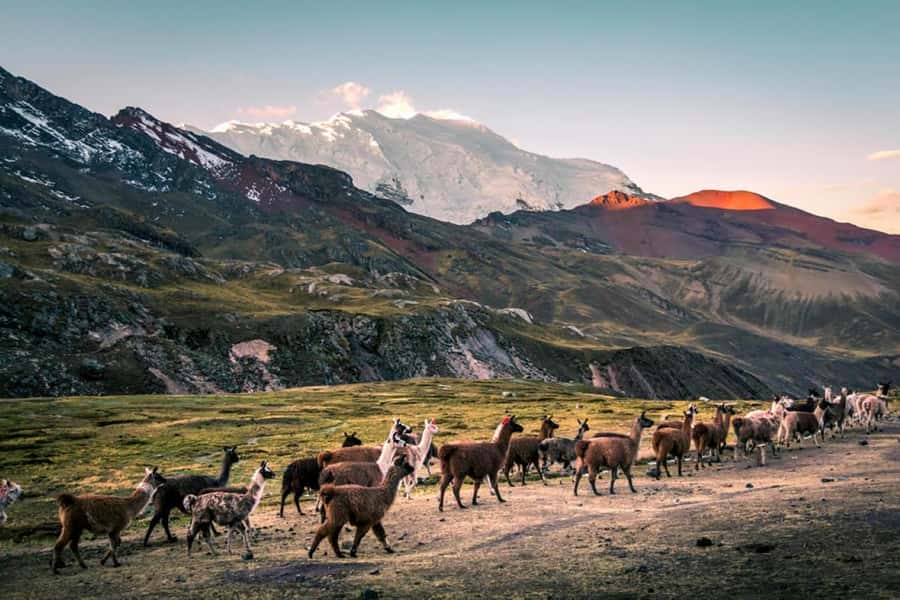 Excursion: Rainbow Mountain and Ausangate 7 Lagoons 2 days - Who should book this experience?