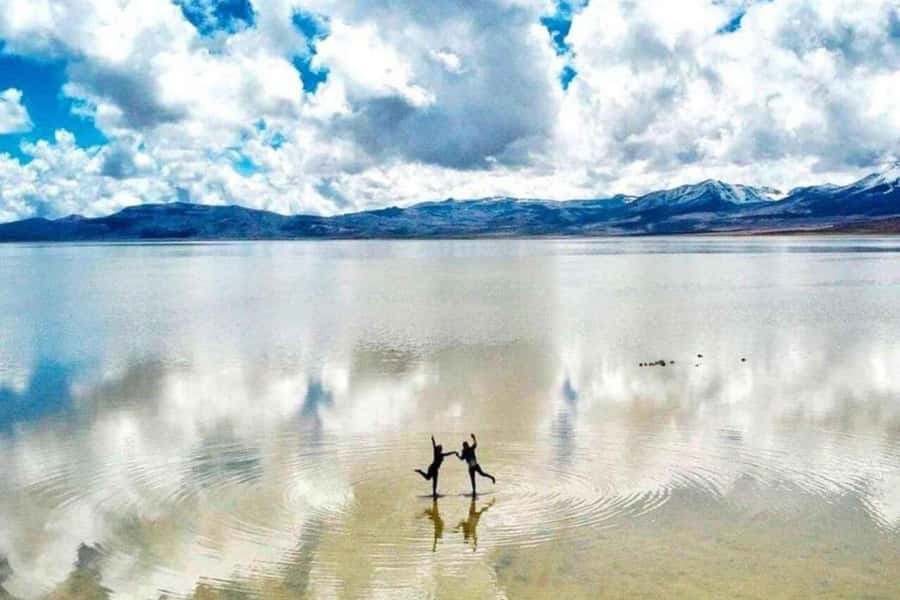 Excursion Salinas Lagoon and National - Why Salinas Lagoon makes a good Arequipa outing