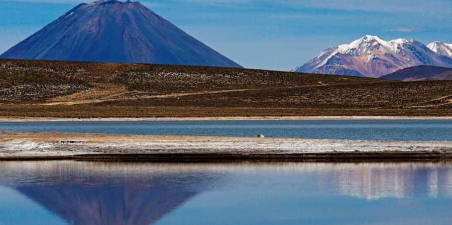 Excursion Salinas Lagoon and National - Chiguata breakfast and the volcano viewpoint