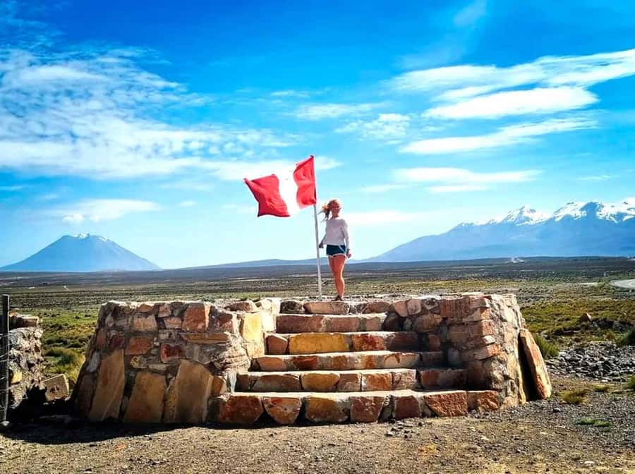 Excursion Salinas Lagoon and National - Camelids and high Andean birds