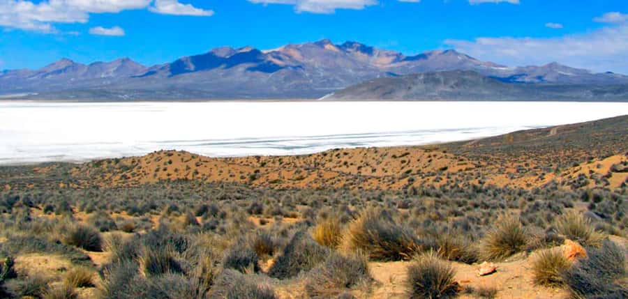 Excursion Salinas Lagoon and National - The early start from Arequipa