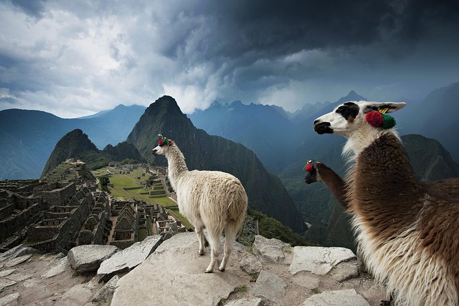 Excursion to MachuPicchu from Cusco with lunch | Private Service| - From central Cusco to Ollantaytambo