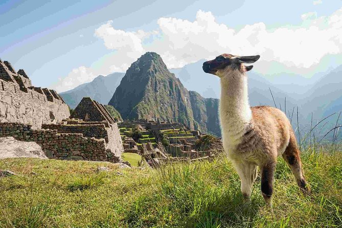 Excursion to MachuPicchu from Cusco with lunch | Private Service| - The return journey adds five more hours