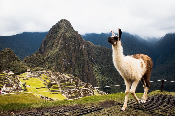 Excursion to MachuPicchu with Train Vistadome Full Day - What the $403.75 price really buys