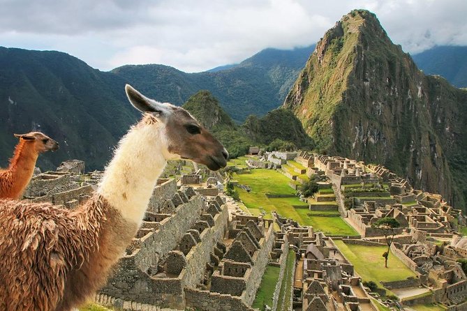 Excursion to MachuPicchu with Train Vistadome Full Day - Who this full-day trip suits best