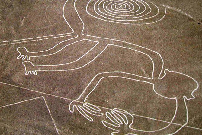 Flight Over the Nazca Lines from Pisco + Huacachina Oasis - Is $730 per person a fair price?