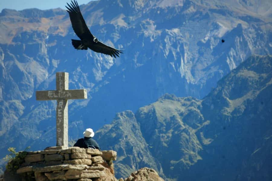 From Arequipa: 1 Day Tour to the Colca Canyon + Buffet lunch - Key points at a glance