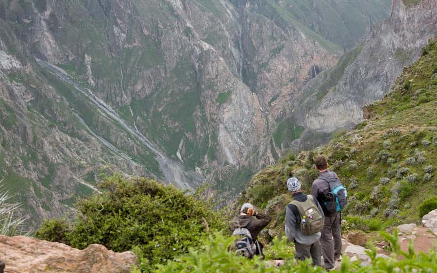 From Arequipa: 2-Day Colca Canyon Trekking Tour - Key points to know before booking