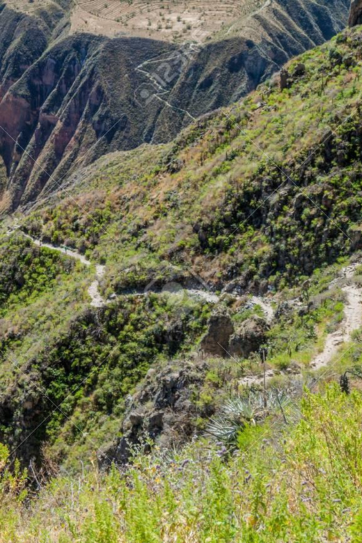 From Arequipa: 2-Day Colca Canyon Trekking Tour - The real price and what it includes