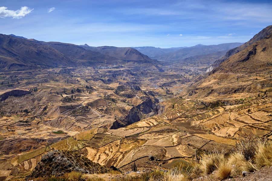 From Arequipa: Colca Canyon and Condor Watching Day Trip - The 3 a.m. departure from Arequipa
