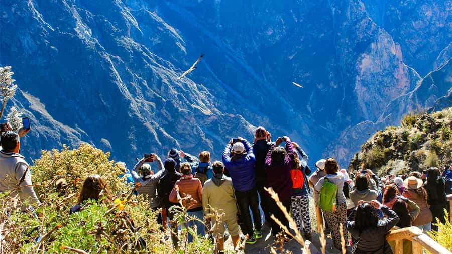 From Arequipa: Colca Canyon Day Trip with Transfer to Puno - Key points to know before booking