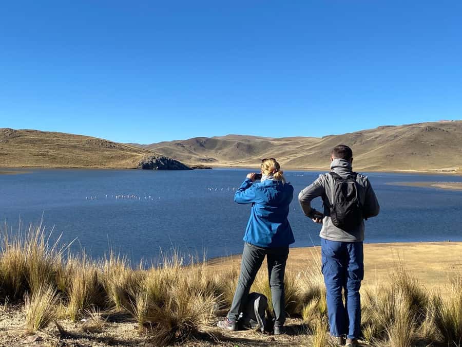 From Arequipa: Colca Canyon Day Trip with Transfer to Puno - Cruz del Cóndor and the main canyon views