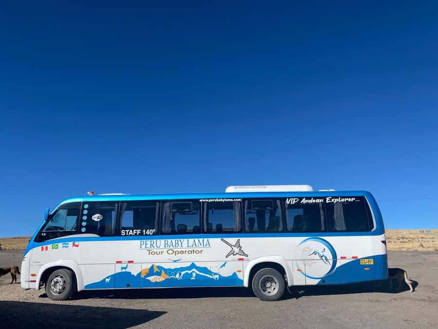 From Arequipa: Colca Canyon Day Trip with Transfer to Puno - Chacapi hot springs and the extra 15 soles