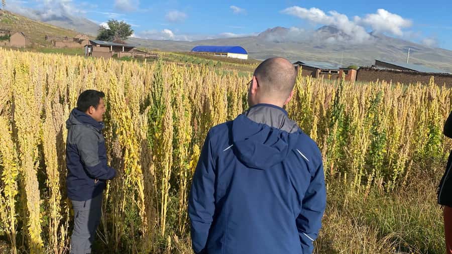 From Arequipa: Colca Canyon Day Trip with Transfer to Puno - Lunch in Chivay and the cost of eating