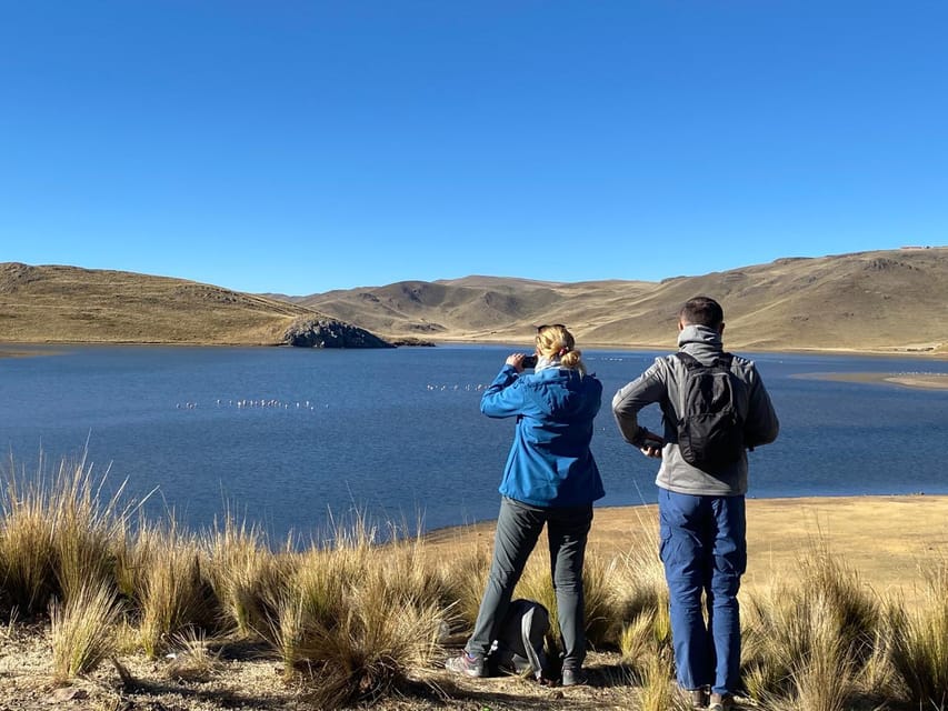 From Arequipa: Colca Canyon Day Trip with Transfer to Puno - High-altitude scenery at Salinas and Aguada Blanca