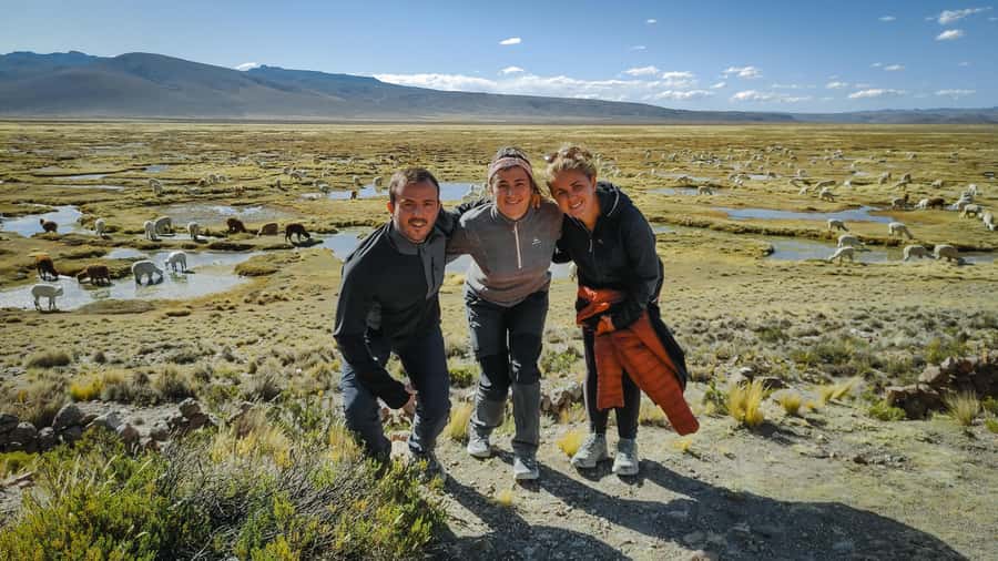 From Arequipa: Colca Canyon Full-Day Guided Tour with Meals - Why this Colca Canyon day trip is worth considering